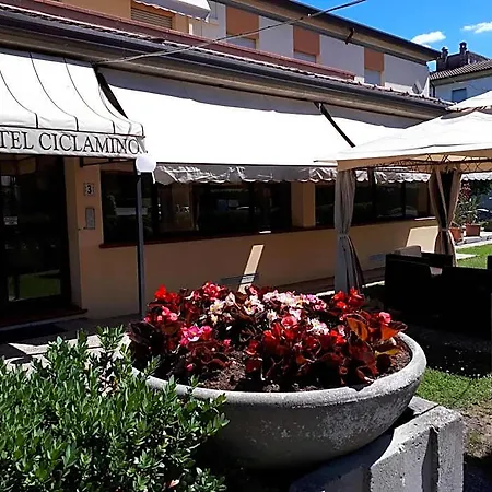 Ciclamino
